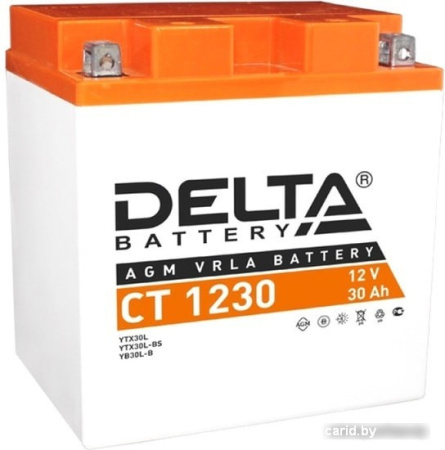 Мотоциклетный аккумулятор Delta CT 1230 (30 А·ч)